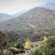 Sin título (1280 x 853 px) (25)